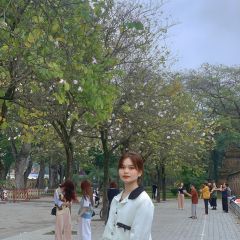 z6667657792096_e0a131ca7dabf005f43687b4ef372f4f