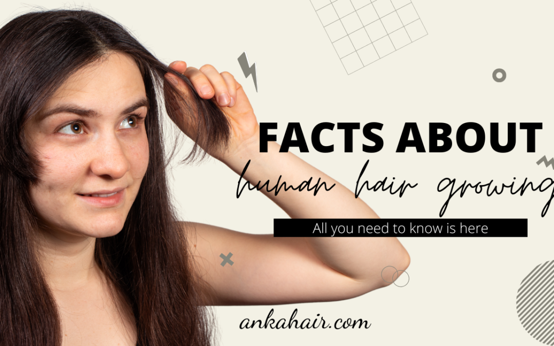 human hair on the average grows about