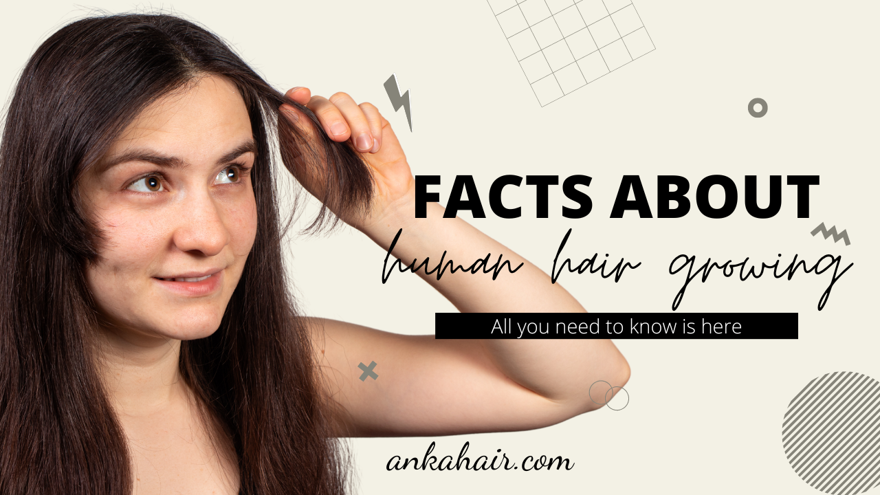 Amazing Facts About Human Hair